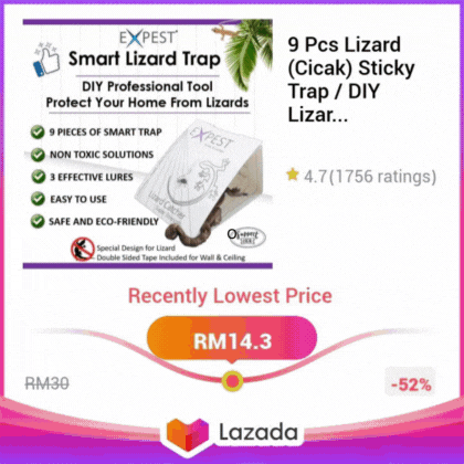 LZD - 9 Pcs Lizard (Cicak) Sticky Trap / DIY Lizard Killer